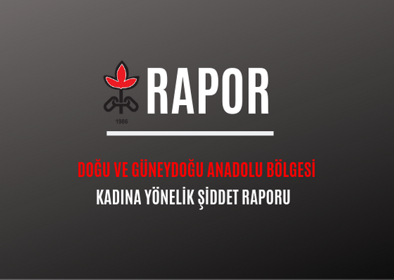 İHD KADINA YÖNELİK ŞİDDET RAPORU - (25 KASIM 2016- 25 KASIM 2017)
